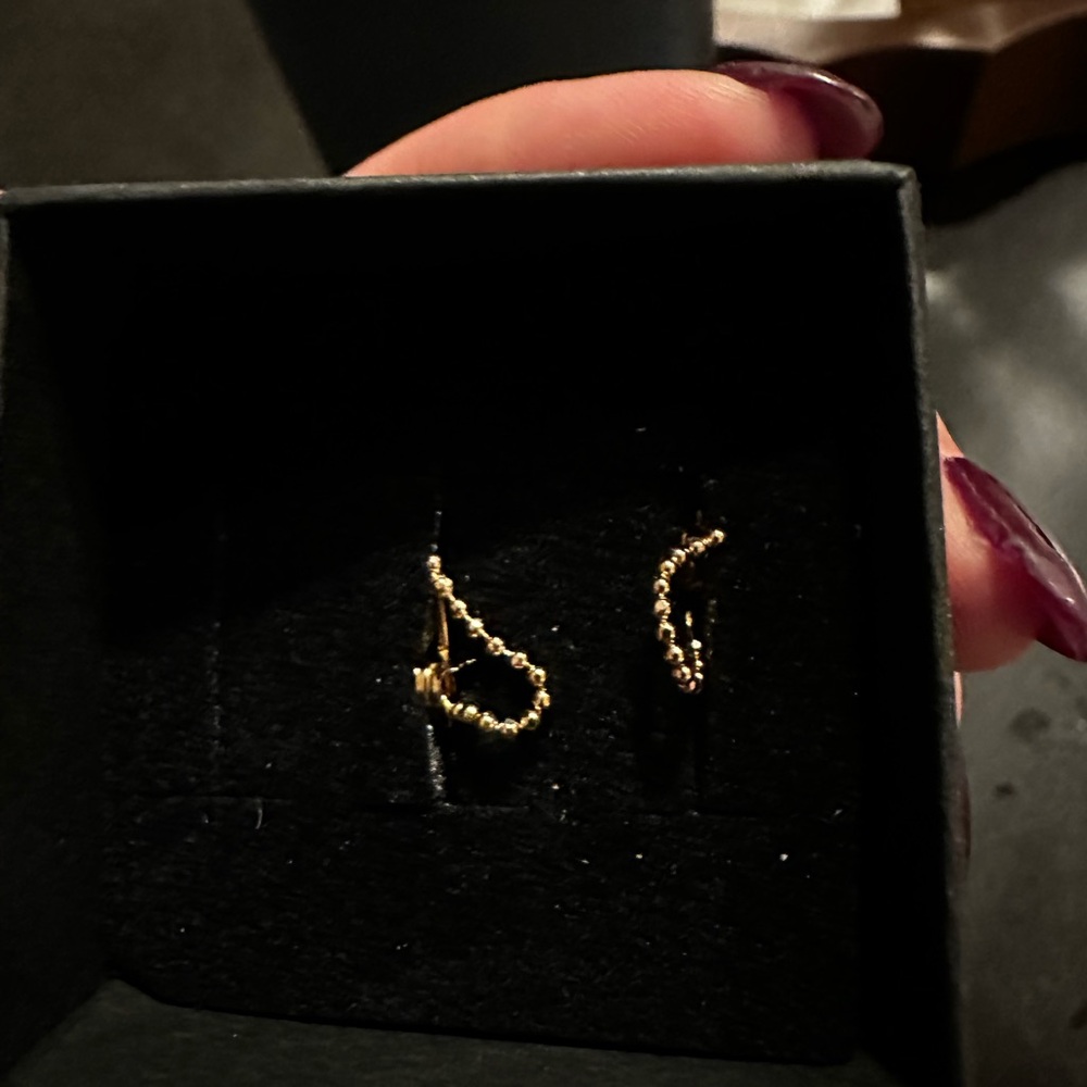 Catbird Gold Little Disco Earrings NEW IN BOX